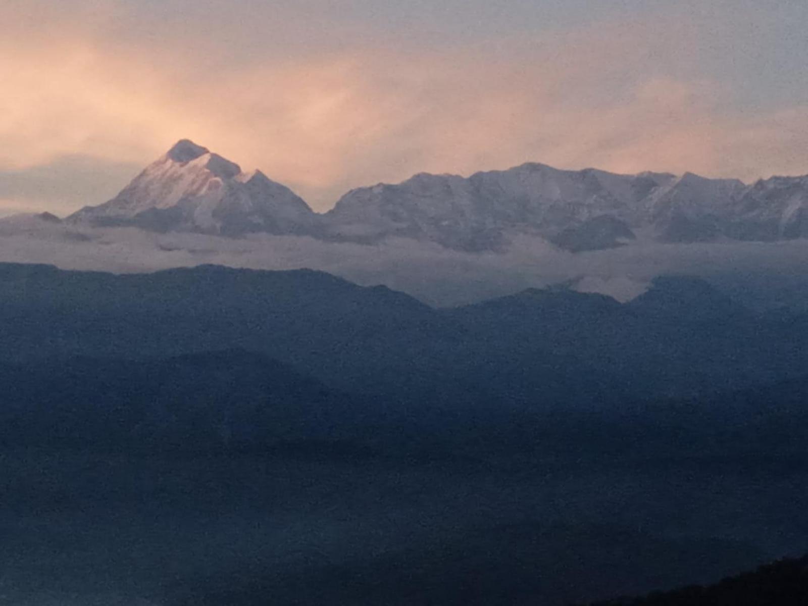 Golden Himalaya Homestay カウサニ エクステリア 写真