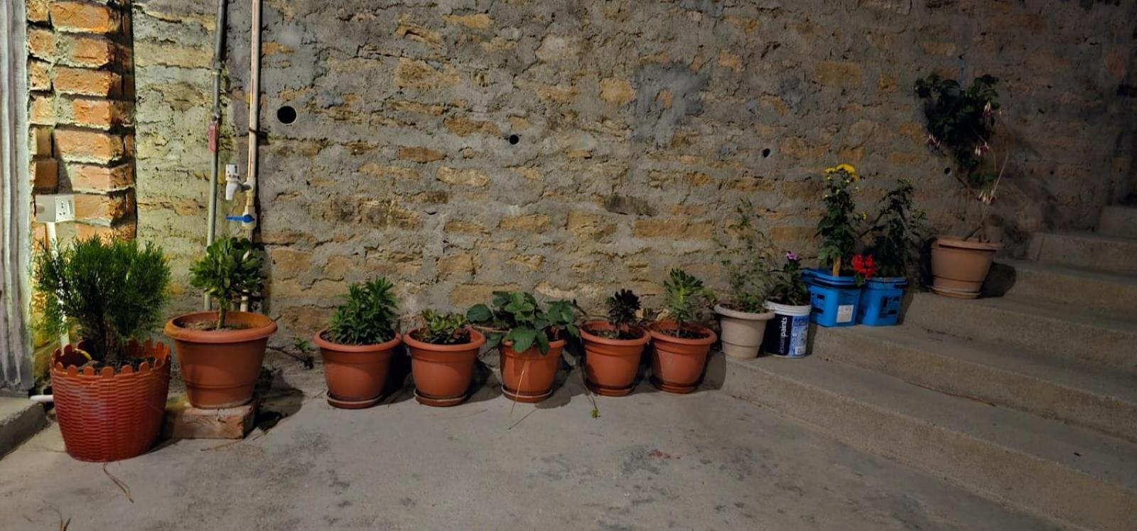Golden Himalaya Homestay カウサニ エクステリア 写真